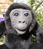 George